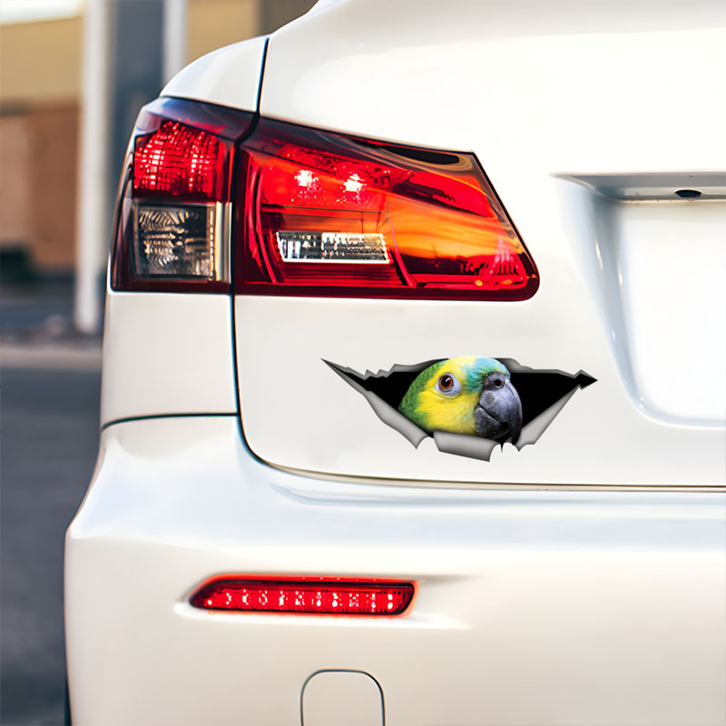 DK582 #   Adesivos de carro Am - Car Accessories Amazon avaliação e preço