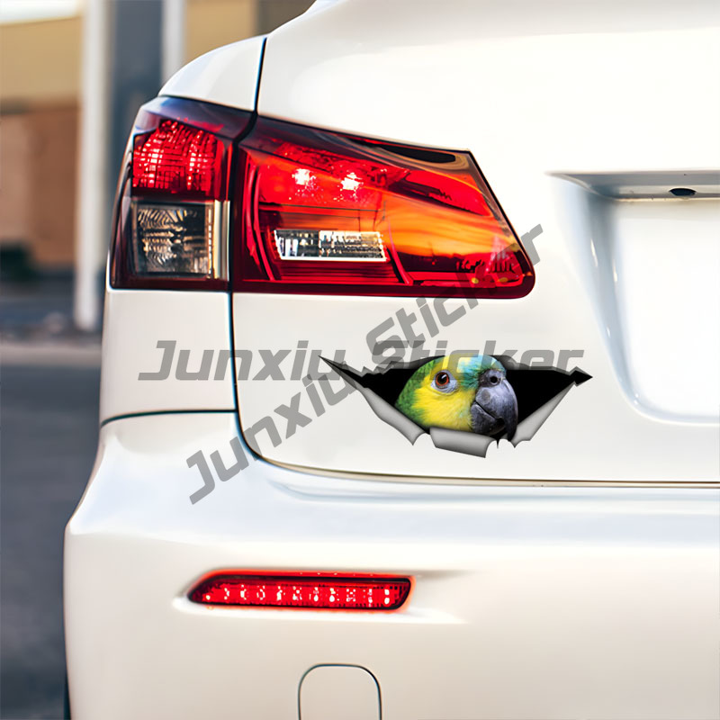 Adesivos para Carro de Papagai - Car Accessories Amazon avaliação e preço