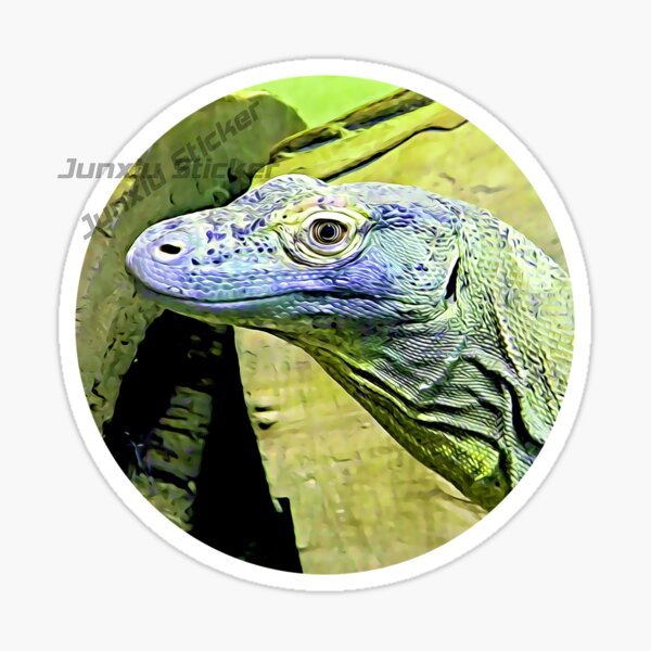 Parque Nacional Komodo Ilha Ko - Car Accessories Bali avaliação e preço